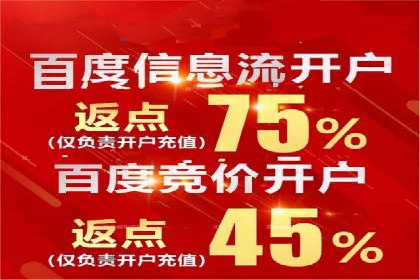 某公司通过竞价SEM优化搜索引擎排名案例